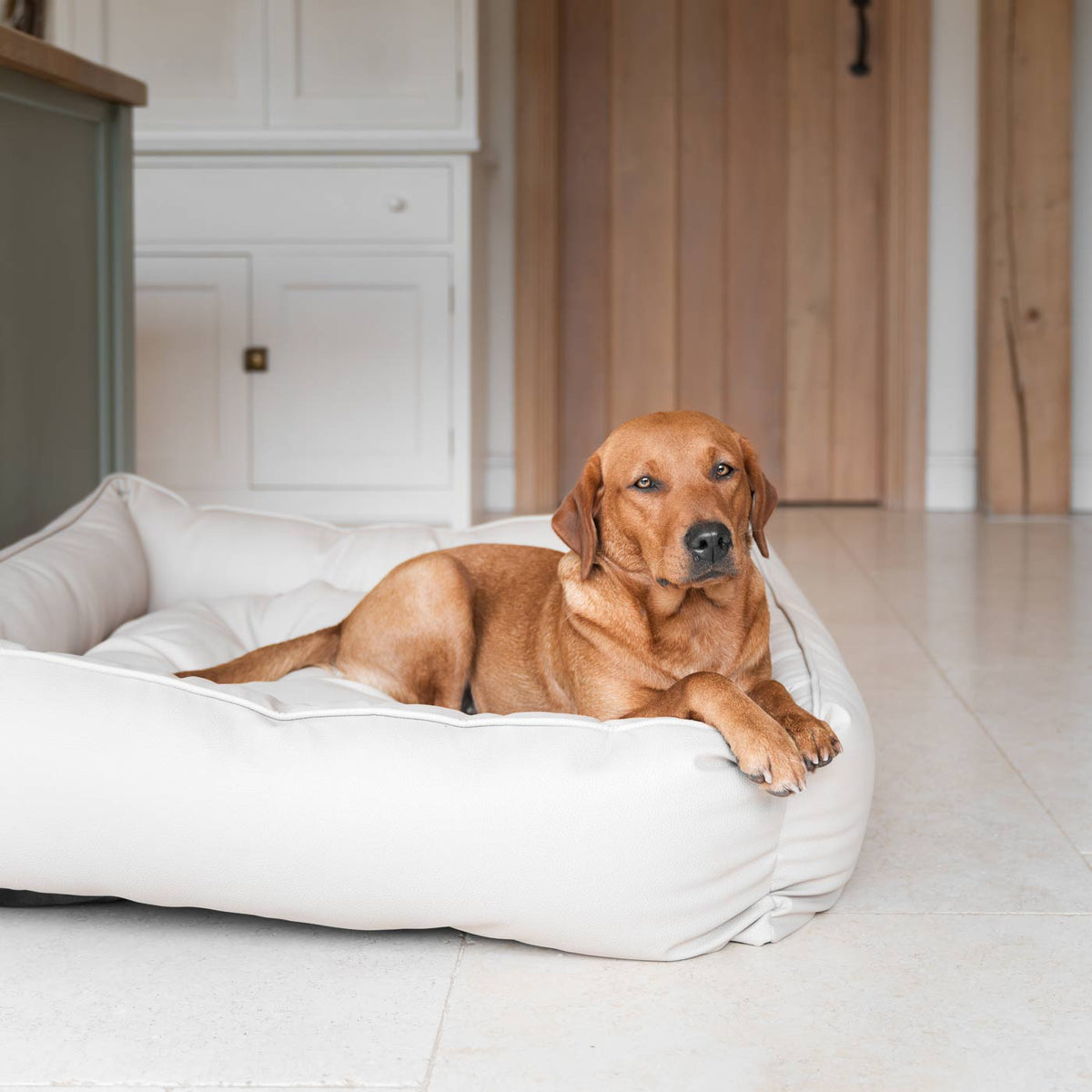 Box Bed With Removable Covers in Rhino Tough Sand Faux Leather