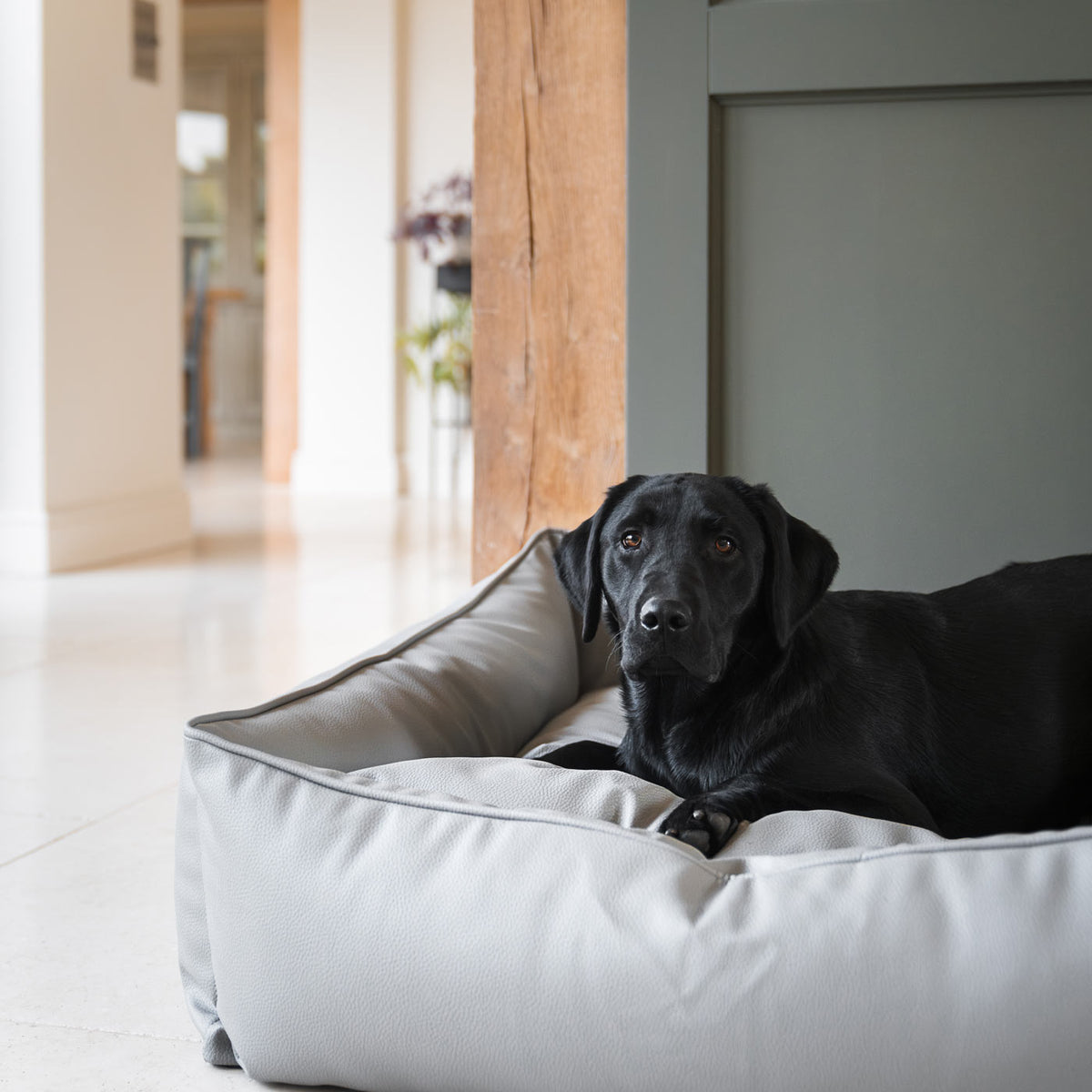 Box Bed With Removable Covers in Rhino Tough Granite Faux Leather, view 3