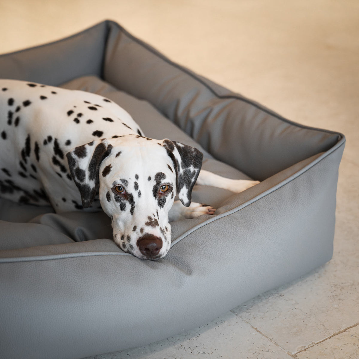 Box Bed With Removable Covers in Rhino Tough Granite Faux Leather, view 5