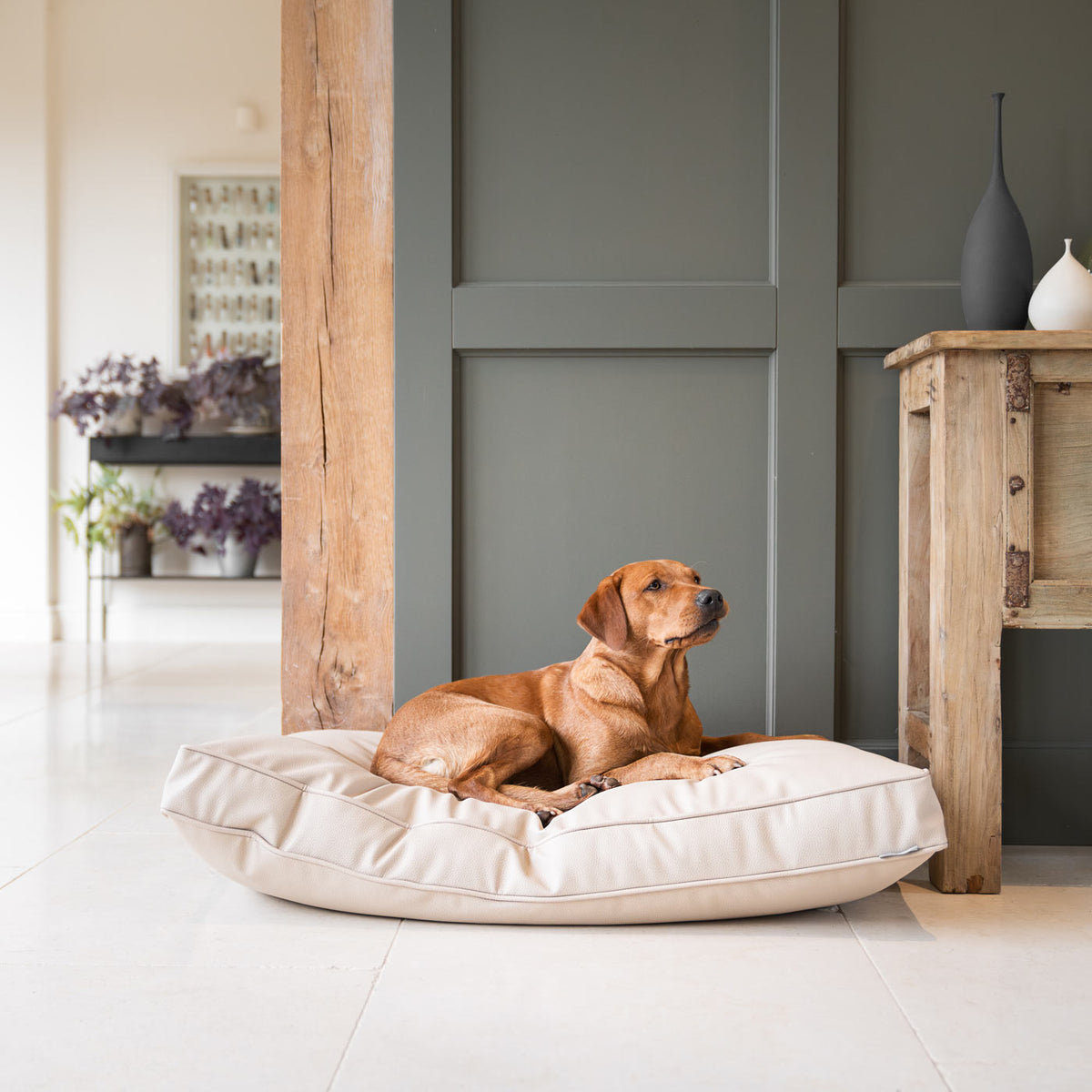 Dog Cushion With Removable Cover in Rhino Tough Sand Faux Leather, view 4