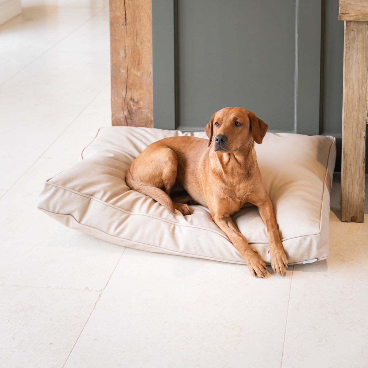 Dog Cushion With Removable Cover in Rhino Tough Sand Faux Leather