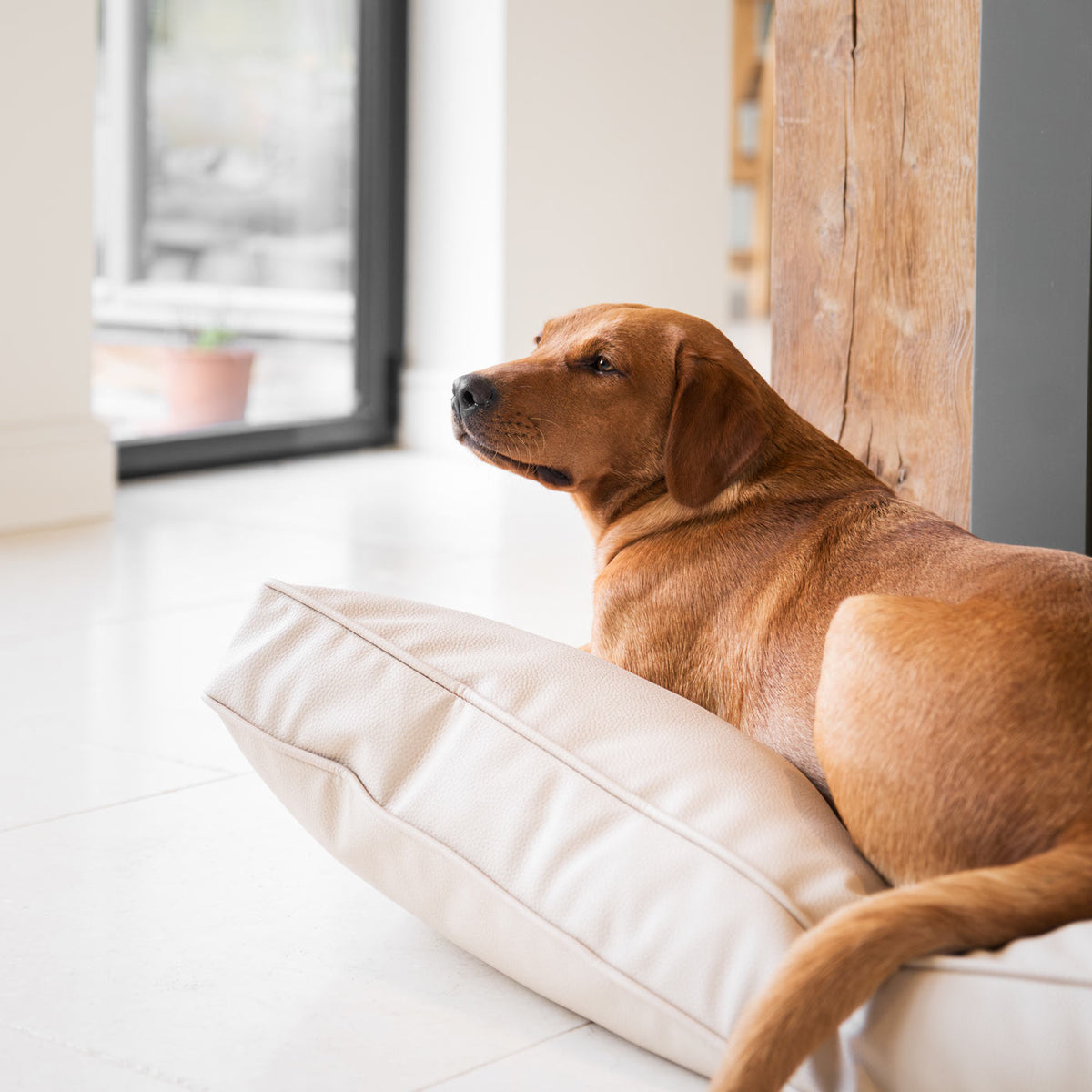 Dog Cushion With Removable Cover in Rhino Tough Sand Faux Leather, view 5