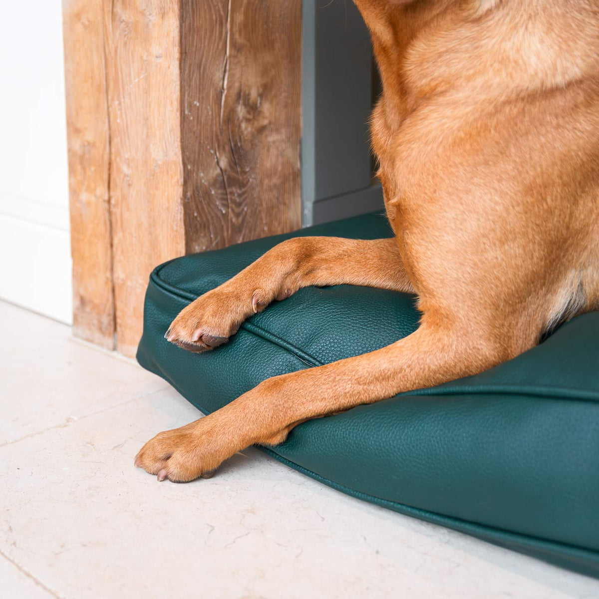 Dog Cushion With Removable Cover in Rhino Tough Forest Faux Leather, view 3