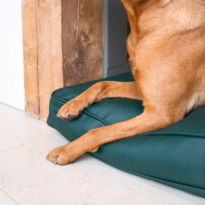 Dog Cushion With Removable Cover in Rhino Tough Forest Faux Leather, view 3