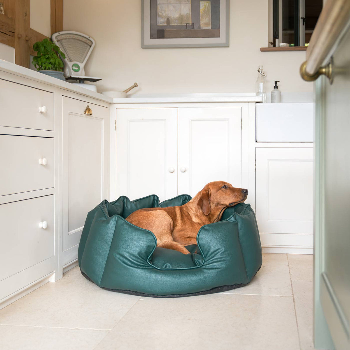 High Wall Bed With Removable Covers in Rhino Tough Forest Faux Leather