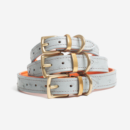 Ostrich Leather Dog Collar in Grey & Orange, view 7