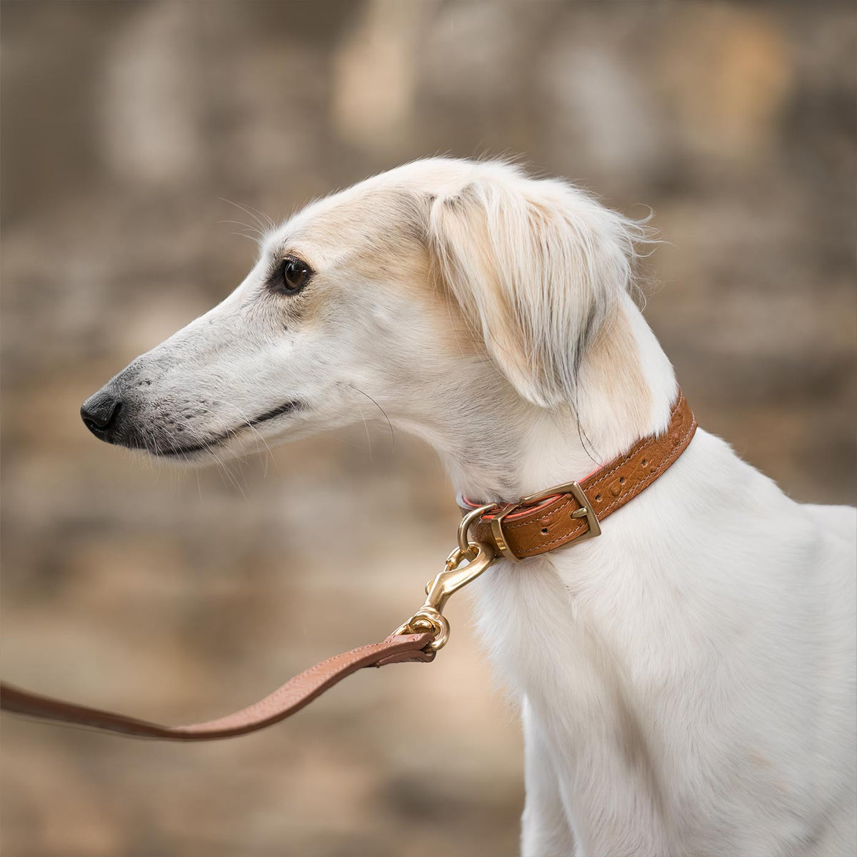 Ostrich Leather Dog Lead in Tan & Orange, view 4
