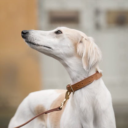 Ostrich Leather Dog Lead in Tan & Orange, view 5
