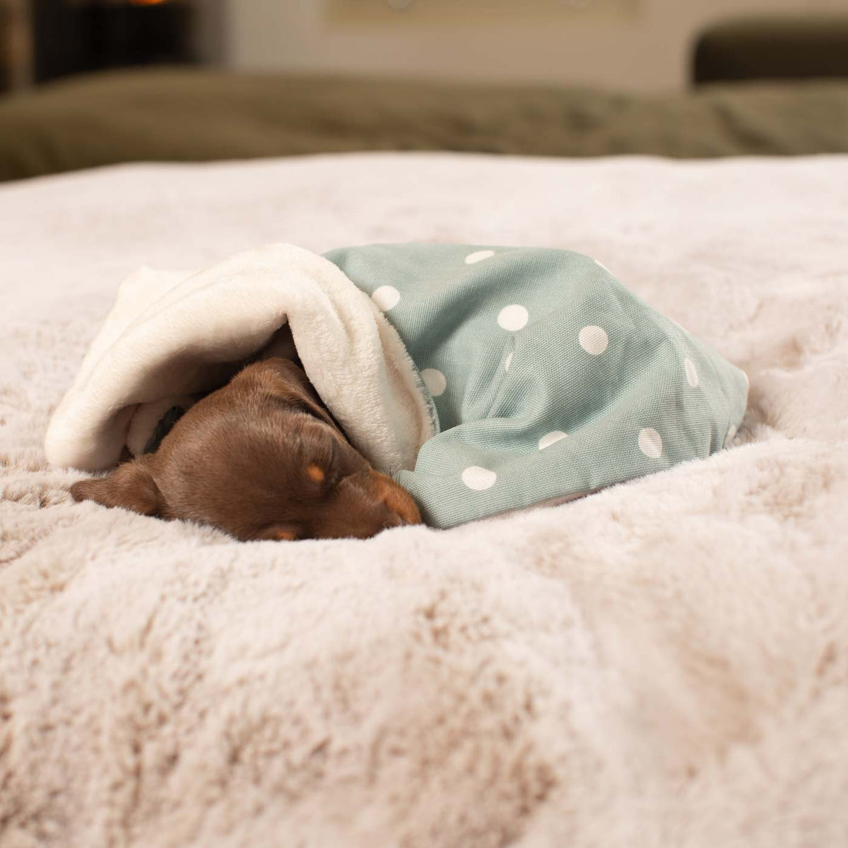 Puppy Scent Blanket in Spots & Stripes, view 8