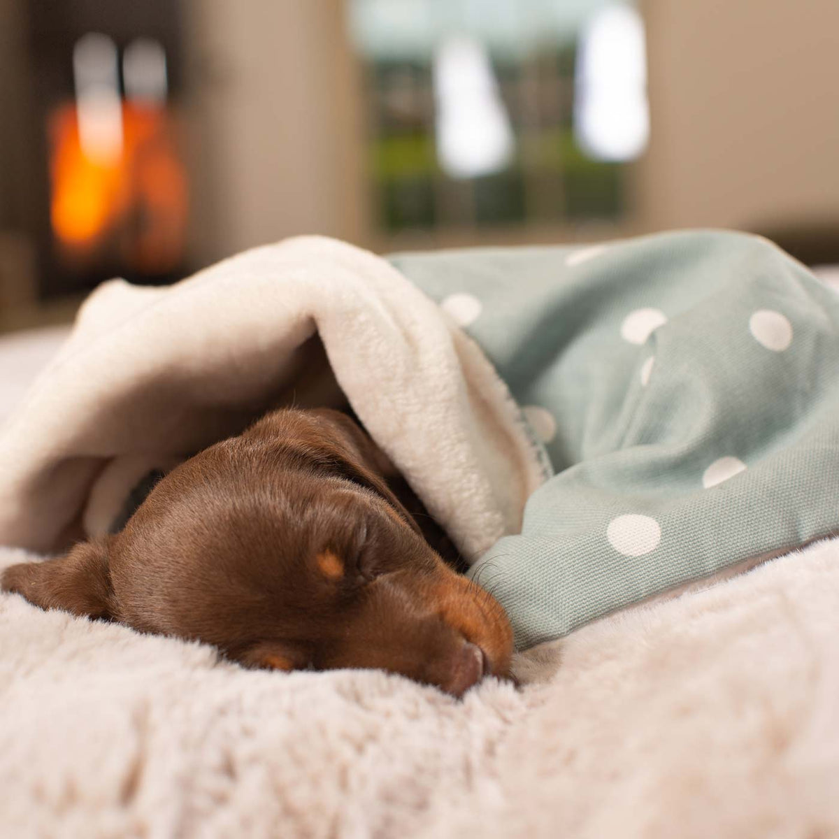 Puppy Scent Blanket in Spots & Stripes, view 7