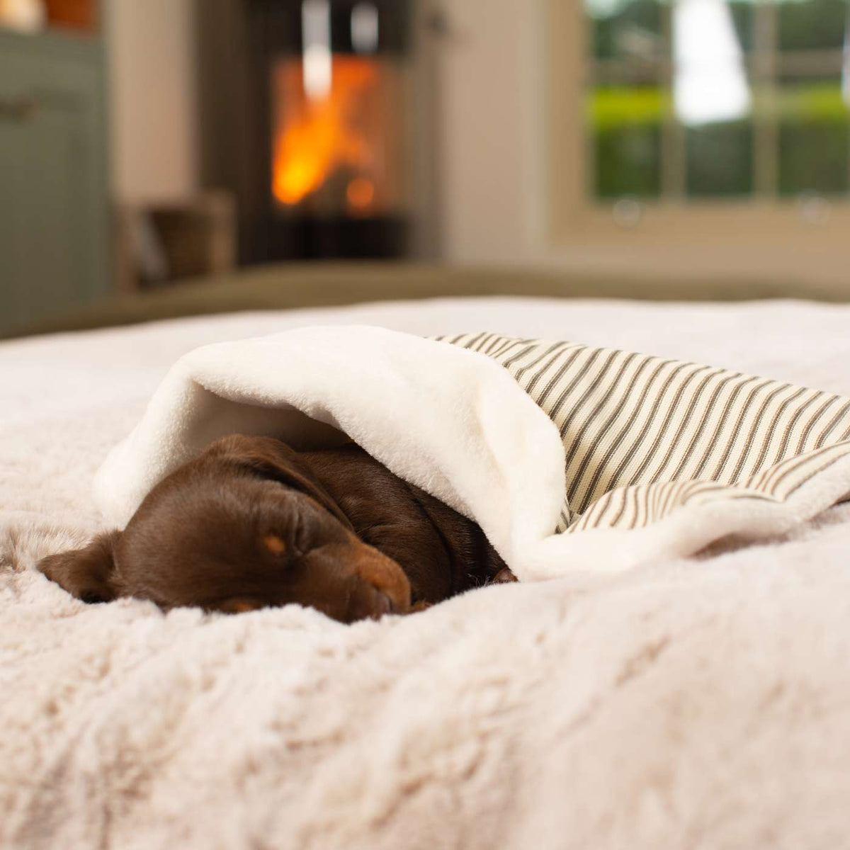 Puppy Scent Blanket in Spots & Stripes, view 2