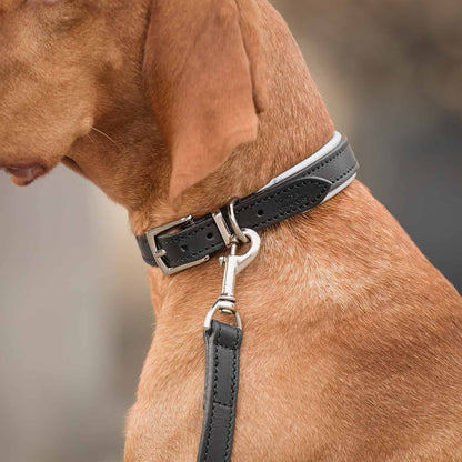 Italian Padded Leather Dog Collar in Black & Grey