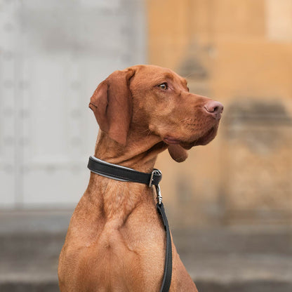 Italian Padded Leather Dog Lead in Black & Grey, view 5
