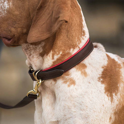 Italian Padded Leather Dog Collar in Brown & Red, view 3