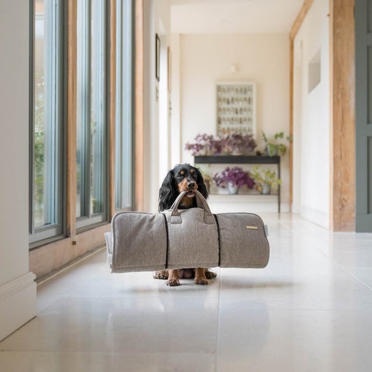 Roll & Go Travel Mat