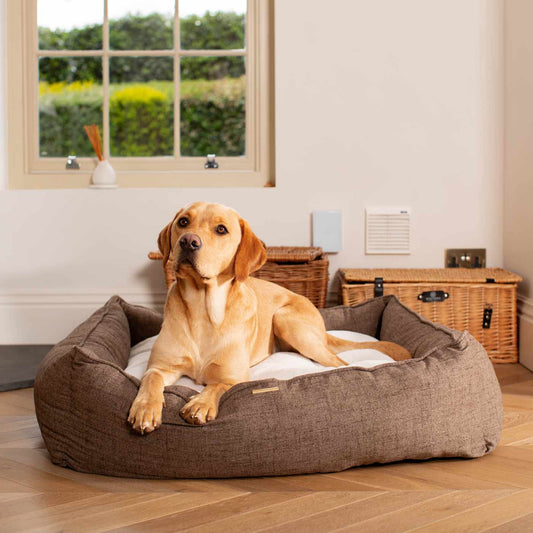 Box Bed With Removable Covers In Inchmurrin Umber