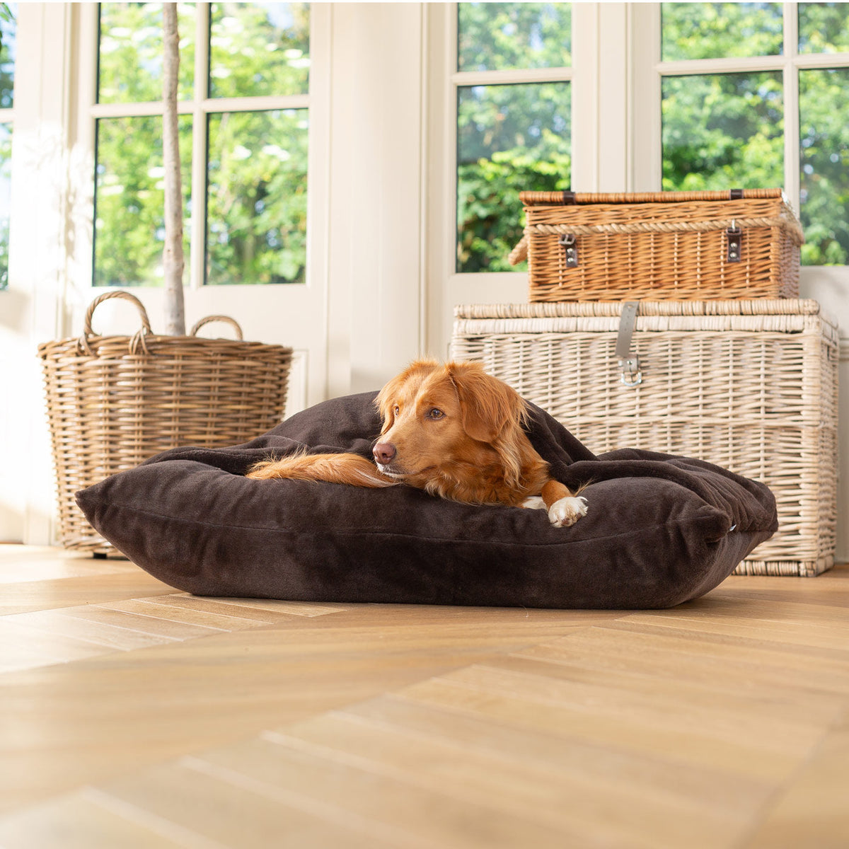Sleepy Burrows Bed With Removable Cover in Calming Anti-Anxiety Dusk Faux Fur, view 4