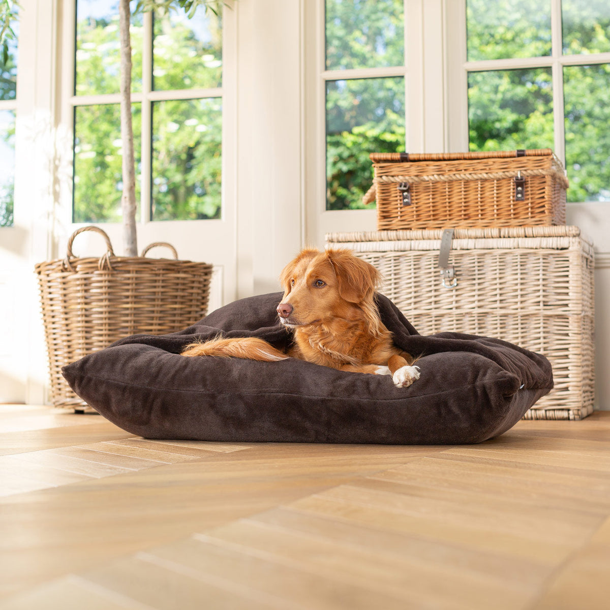 Sleepy Burrows Bed With Removable Cover in Calming Anti-Anxiety Dusk Faux Fur, view 5