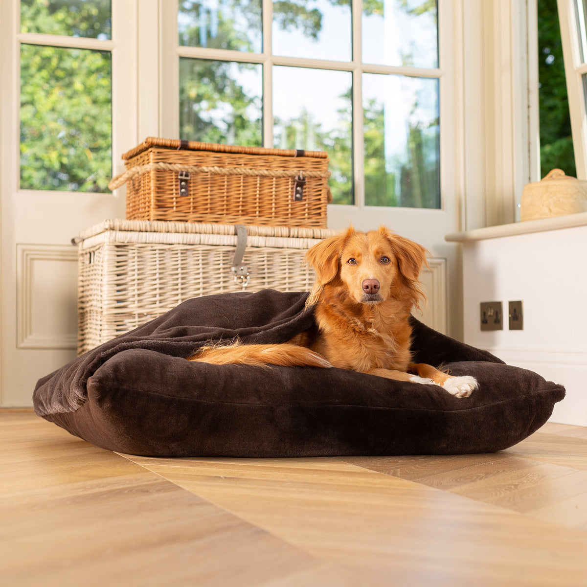 Sleepy Burrows Bed With Removable Cover in Calming Anti-Anxiety Dusk Faux Fur, view 6