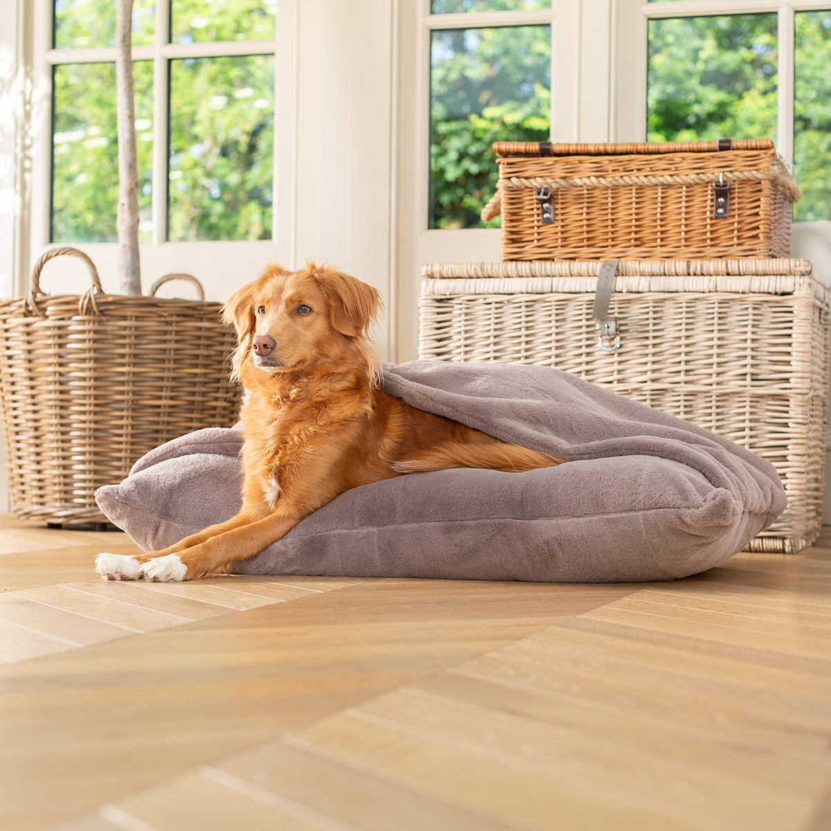 Sleepy Burrows Bed With Removable Cover in Calming Anti-Anxiety Fawn Faux Fur, view 3