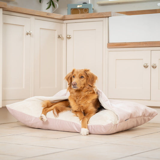 Sleepy Burrows Bed With Removable Cover In Blossom Velvet