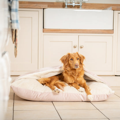 Sleepy Burrows Bed With Removable Cover In Blossom Velvet, view 4