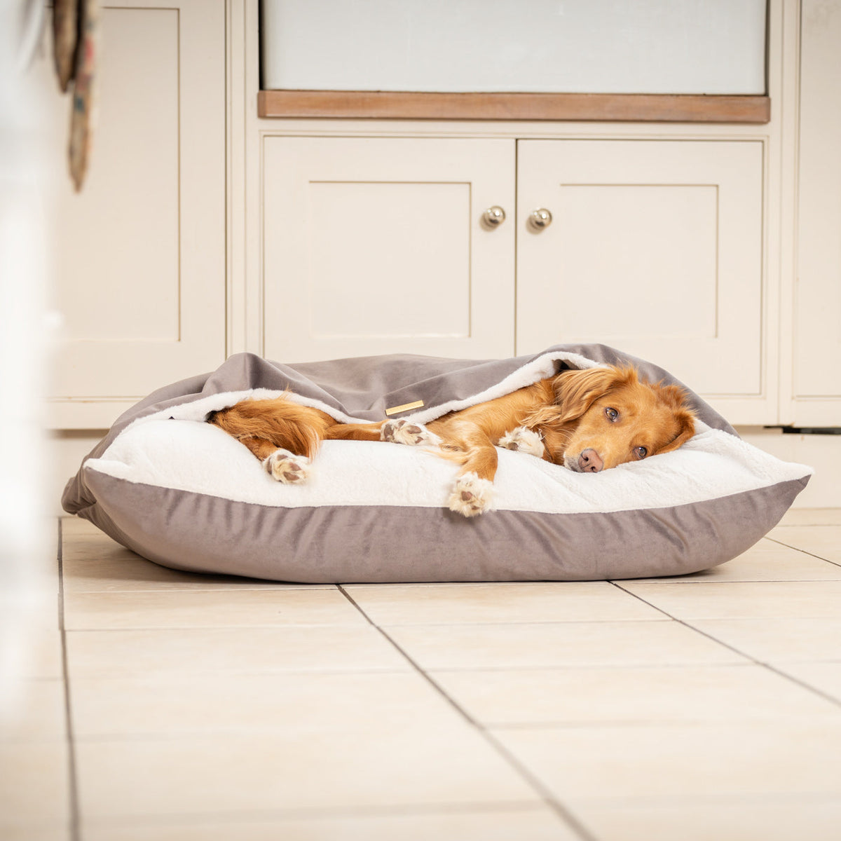 Sleepy Burrows Bed With Removable Cover In Silt Velvet