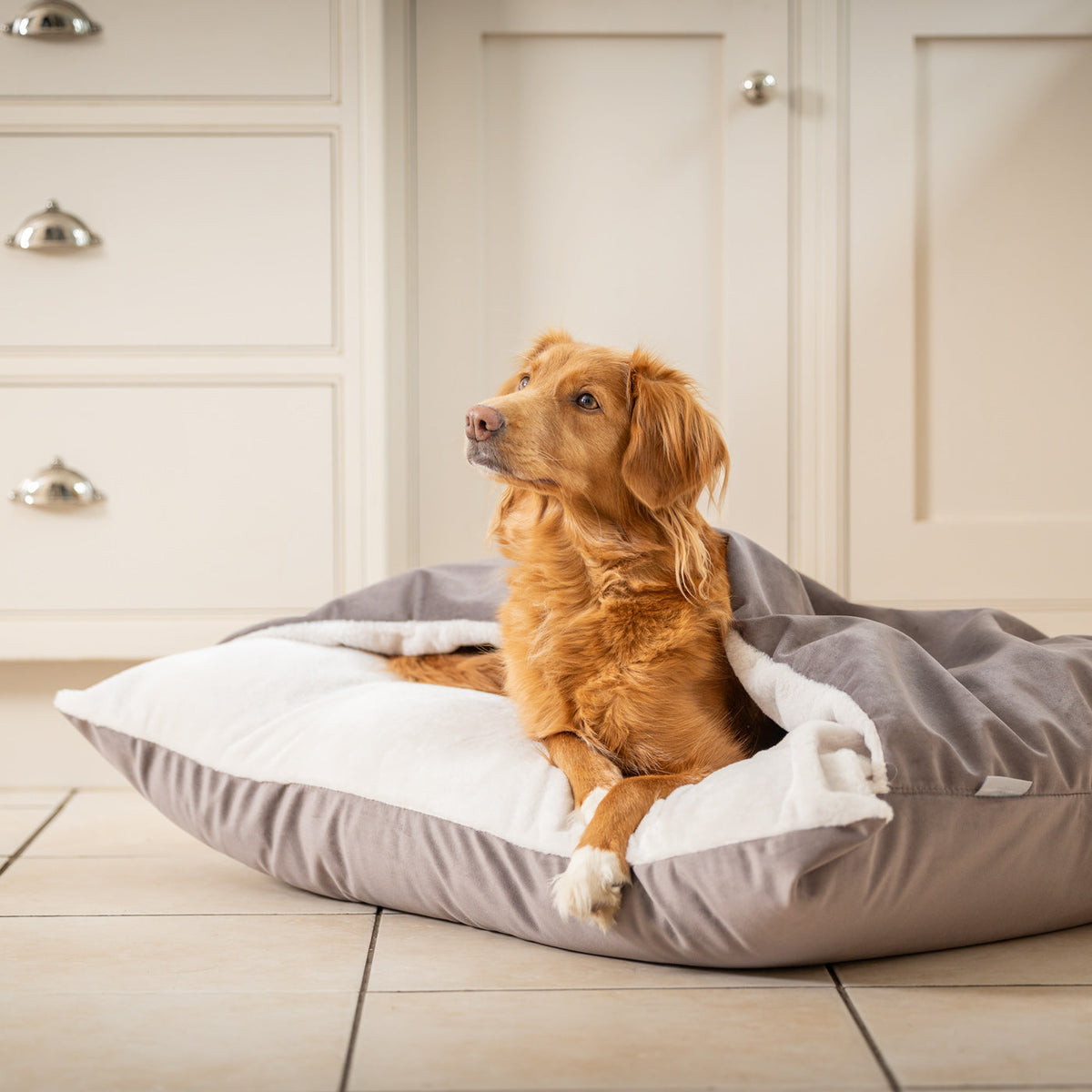 Sleepy Burrows Bed With Removable Cover In Silt Velvet, view 4