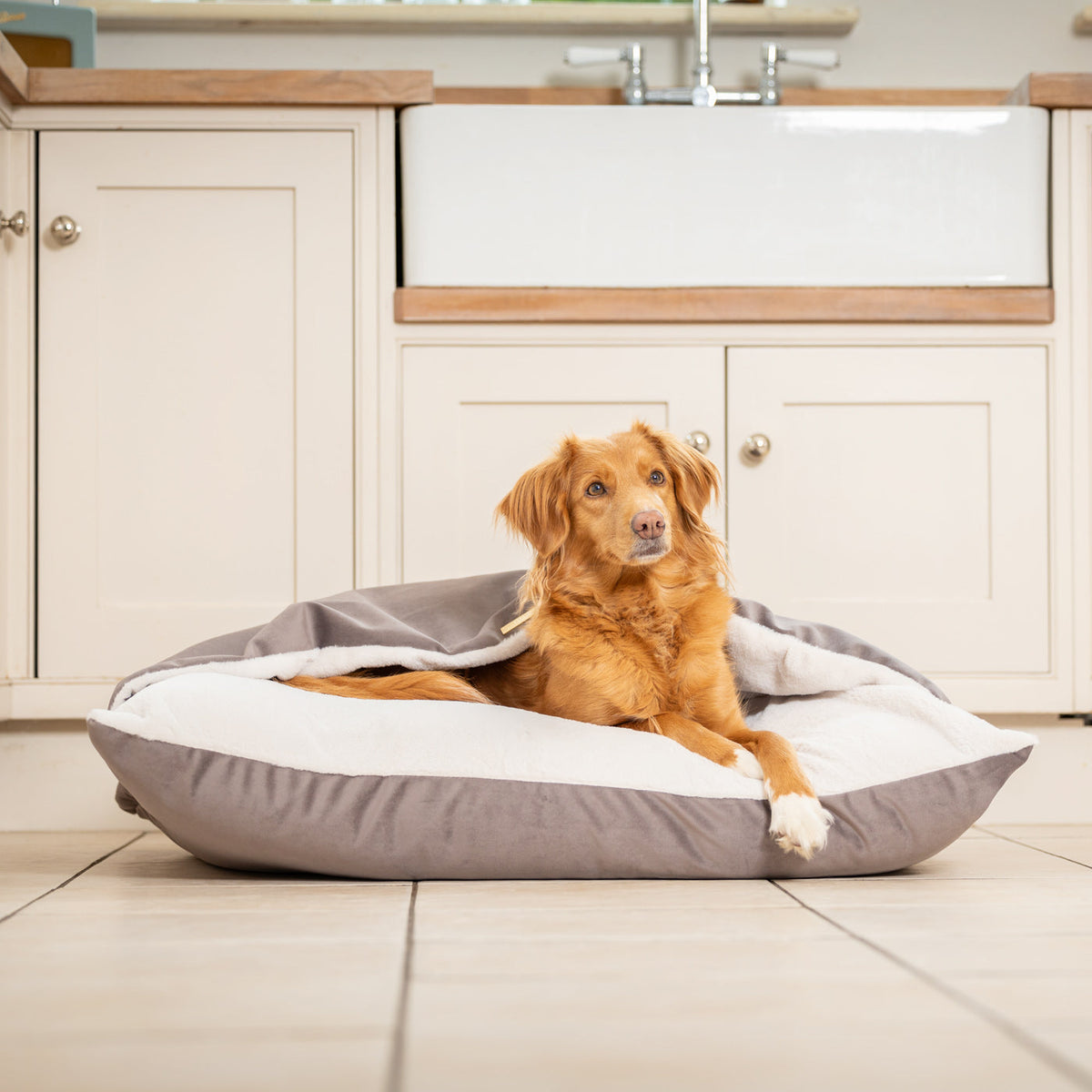 Sleepy Burrows Bed With Removable Cover In Silt Velvet, view 5