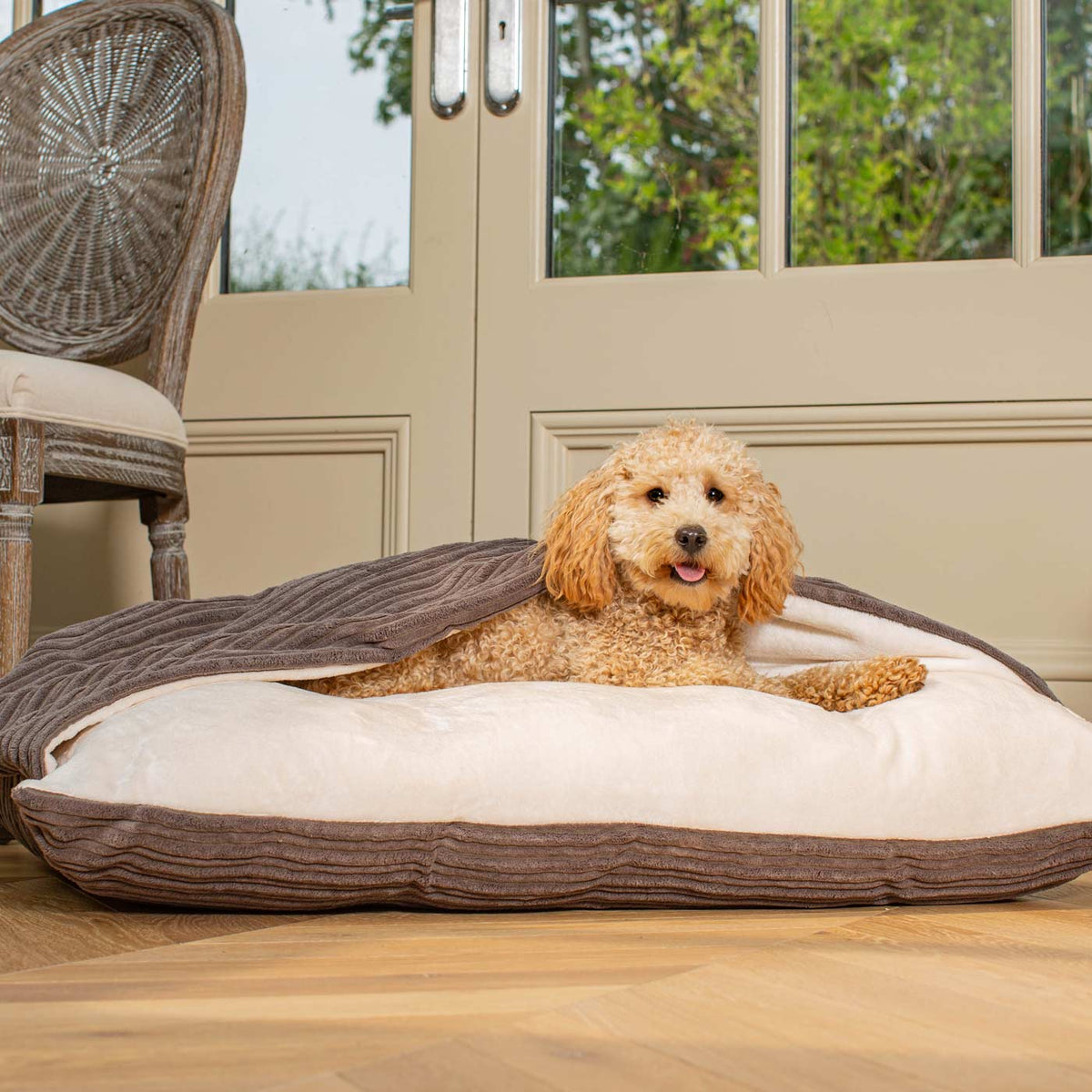 Sleepy Burrows Bed With Removable Cover In Dark Grey Essentials Plush
