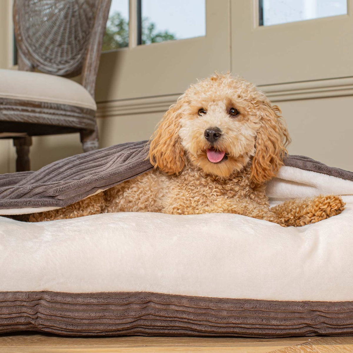 Sleepy Burrows Bed With Removable Cover In Dark Grey Essentials Plush, view 4