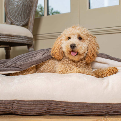 Sleepy Burrows Bed With Removable Cover In Dark Grey Essentials Plush, view 4