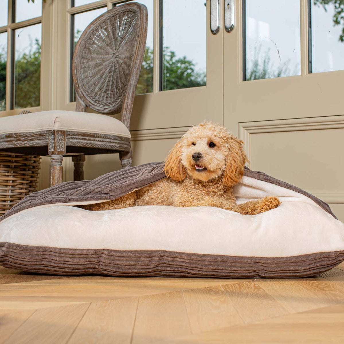 Sleepy Burrows Bed With Removable Cover In Dark Grey Essentials Plush, view 5