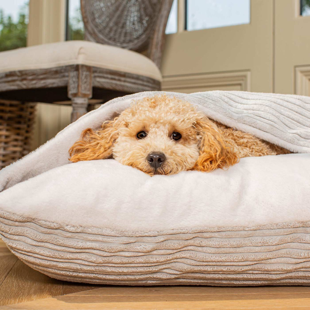 Sleepy Burrows Bed With Removable Cover In Light Grey Essentials Plush, view 6