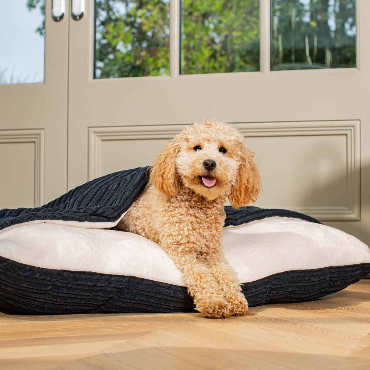 Sleepy Burrows Bed With Removable Cover In Navy Essentials Plush, view 4