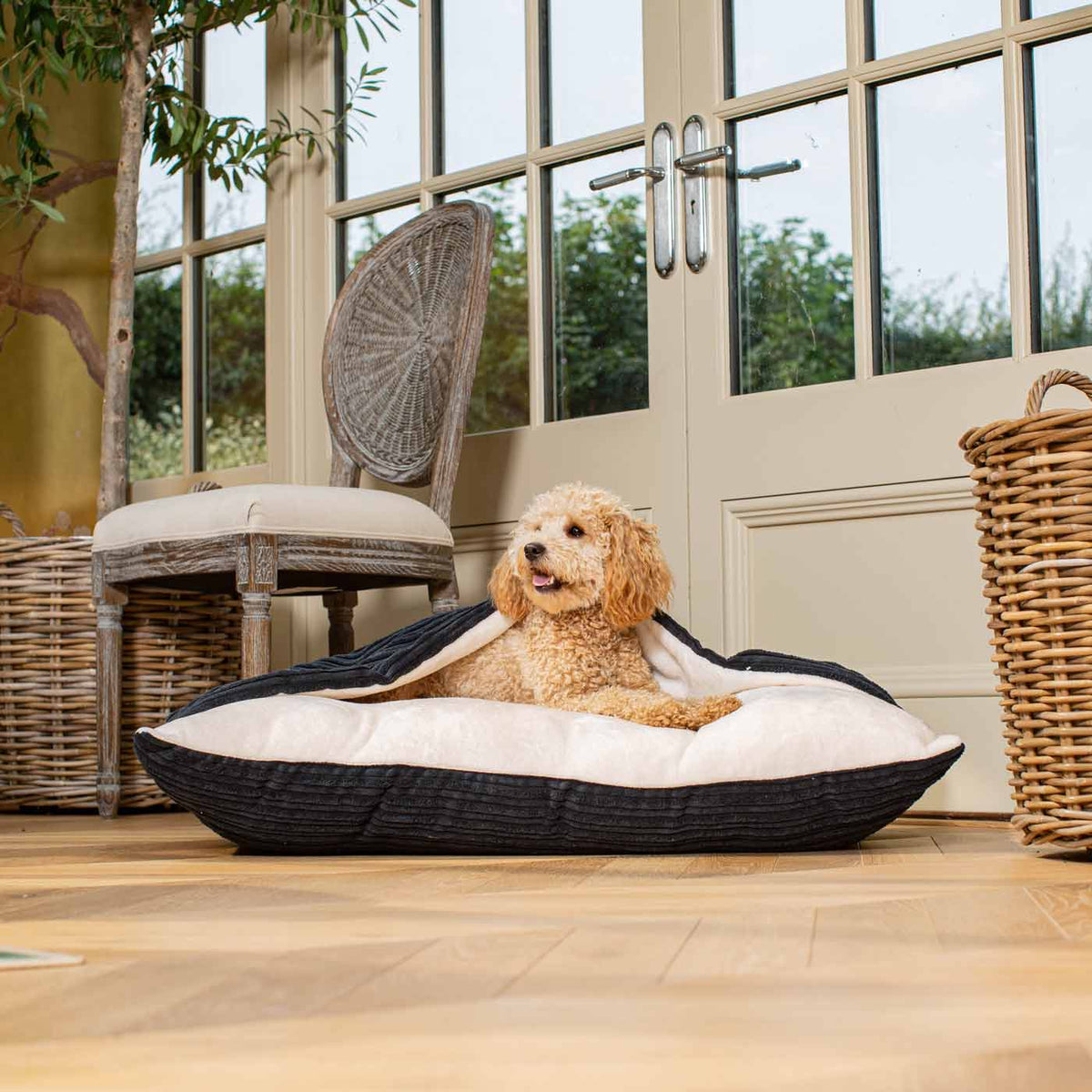 Sleepy Burrows Bed With Removable Cover In Navy Essentials Plush, view 5