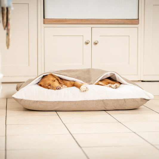 Sleepy Burrows Bed With Removable Cover In Clay Velvet