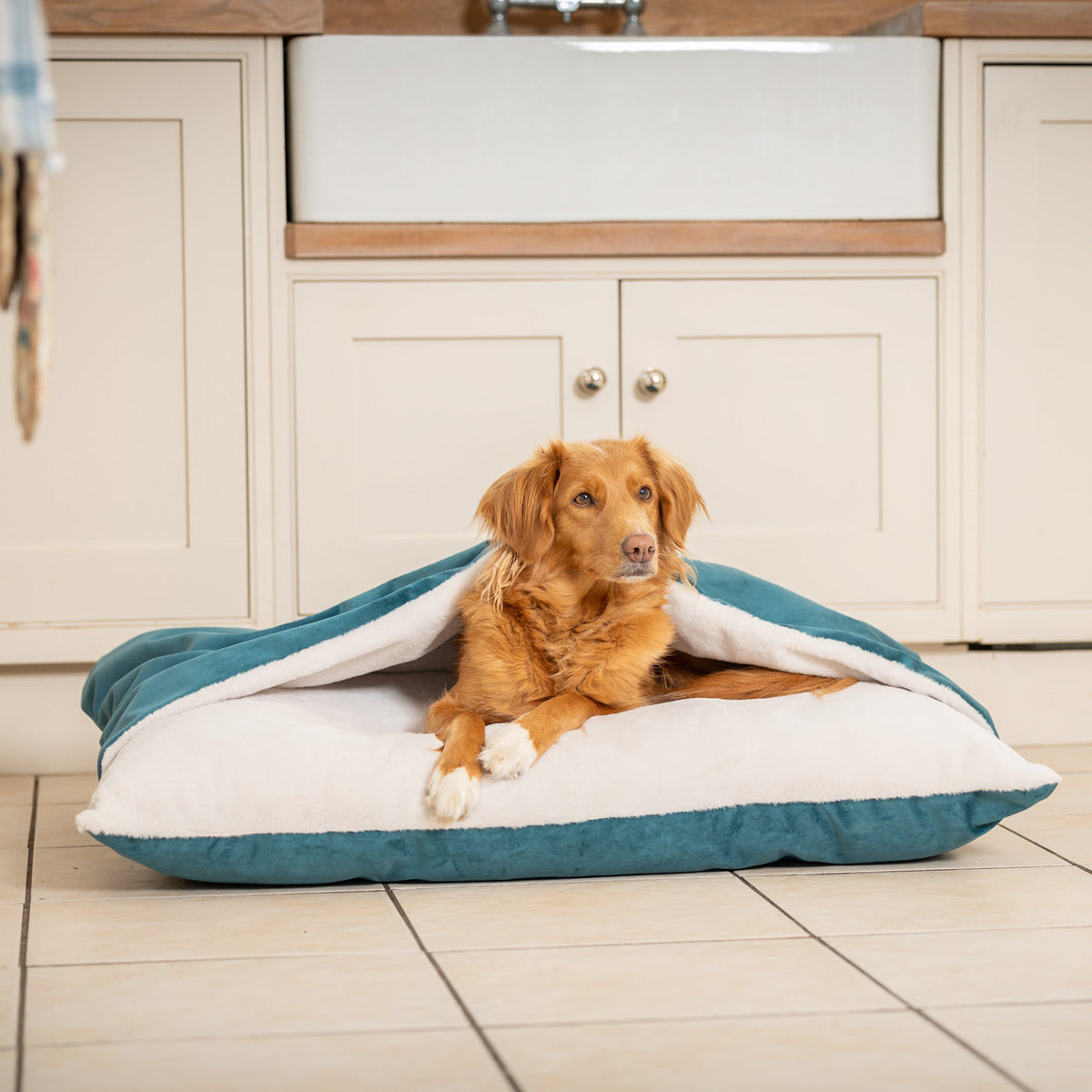 Sleepy Burrows Bed With Removable Cover In Marine Velvet, view 3