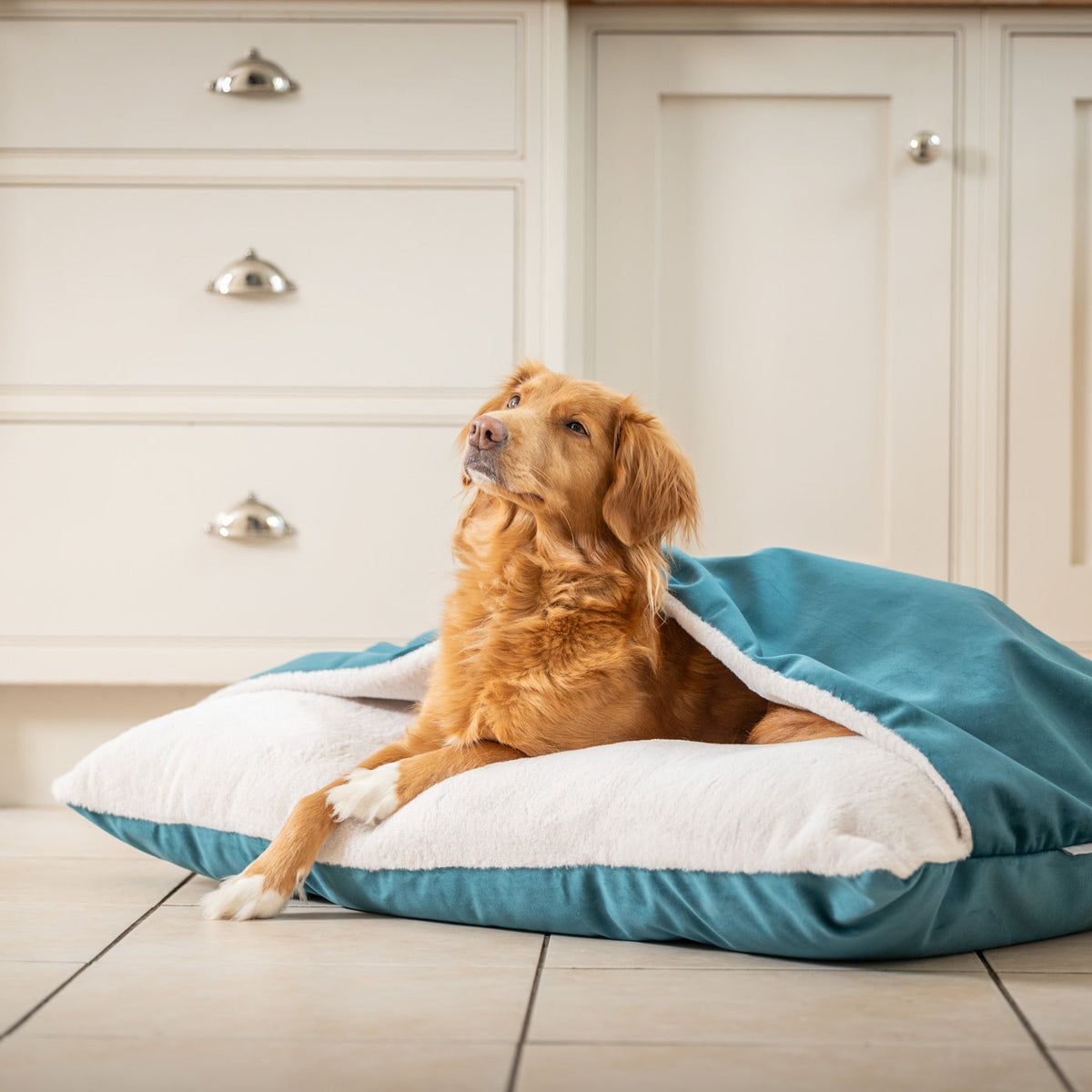 Sleepy Burrows Bed With Removable Cover In Marine Velvet