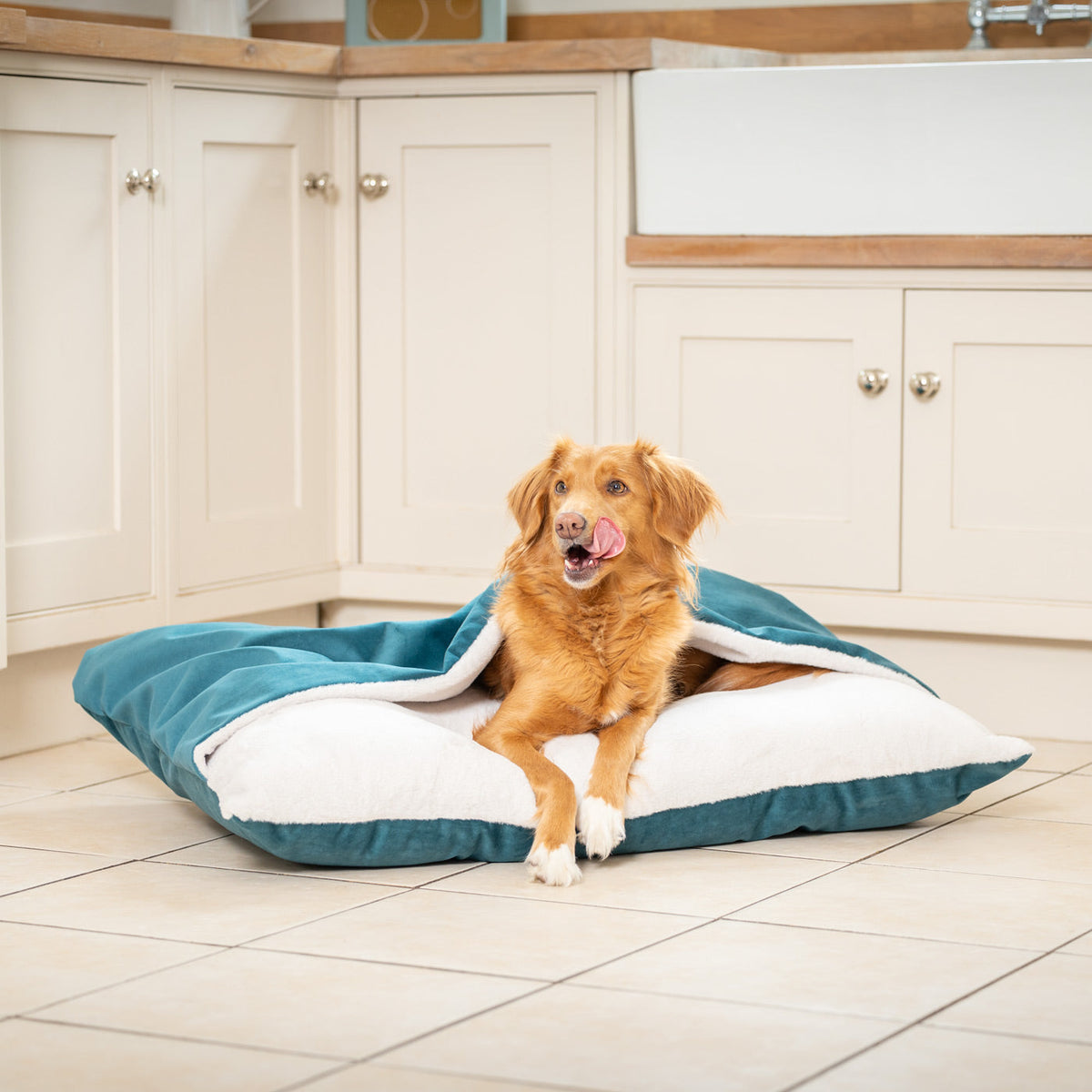 Sleepy Burrows Bed With Removable Cover In Marine Velvet, view 4