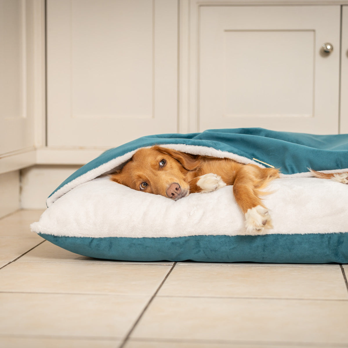 Sleepy Burrows Bed With Removable Cover In Marine Velvet, view 5