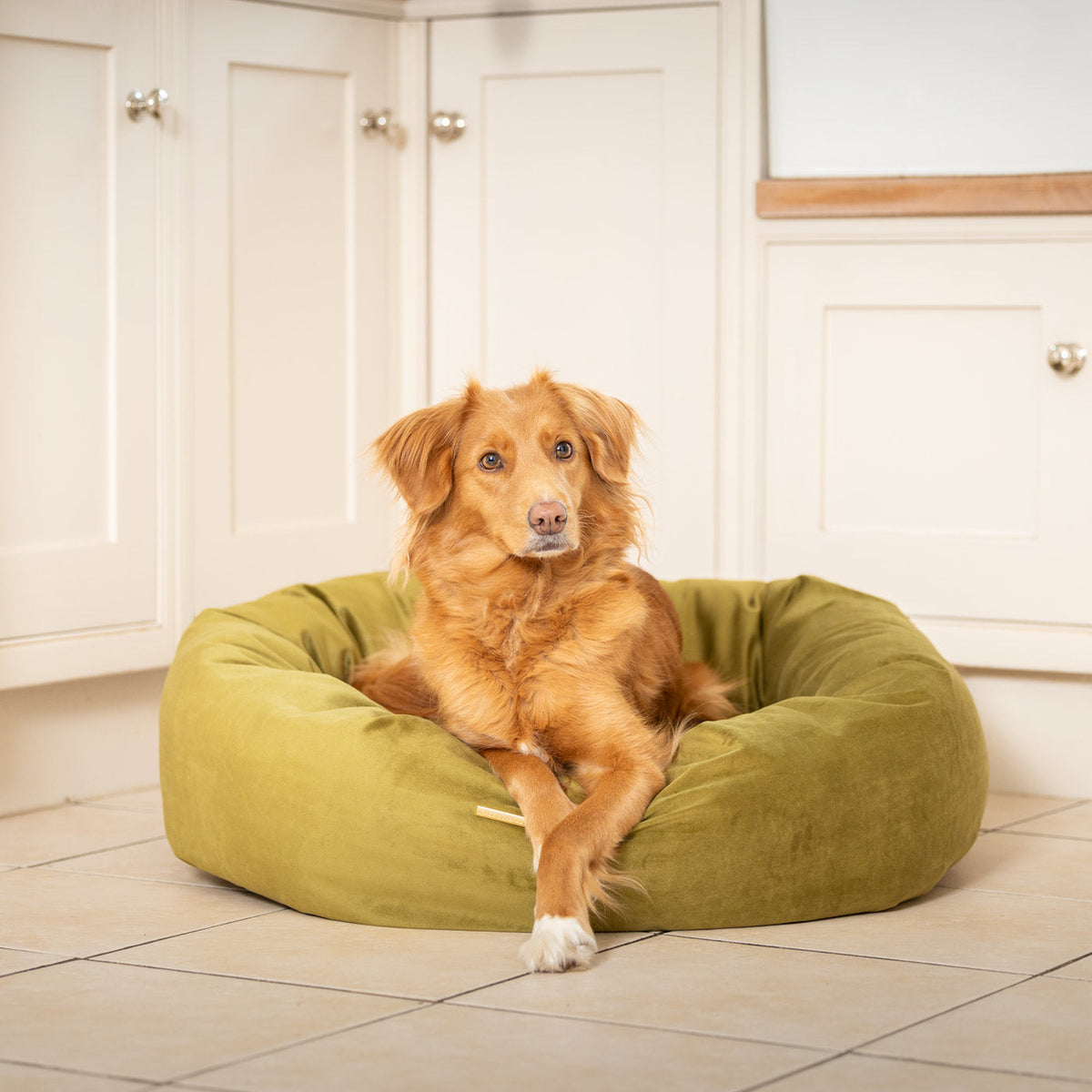 Donut Bed With Removable Covers in Olive Velvet, view 2