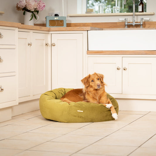 Donut Bed With Removable Covers in Olive Velvet