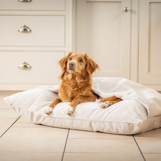 Sleepy Burrows Bed With Removable Cover In Oyster Velvet
