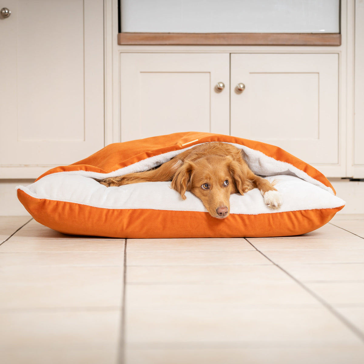 Sleepy Burrows Bed With Removable Cover In Pumpkin Velvet