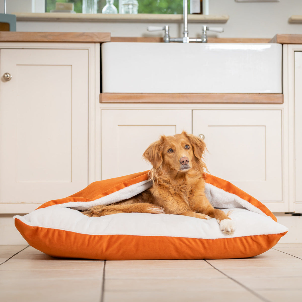 Sleepy Burrows Bed With Removable Cover In Pumpkin Velvet, view 3