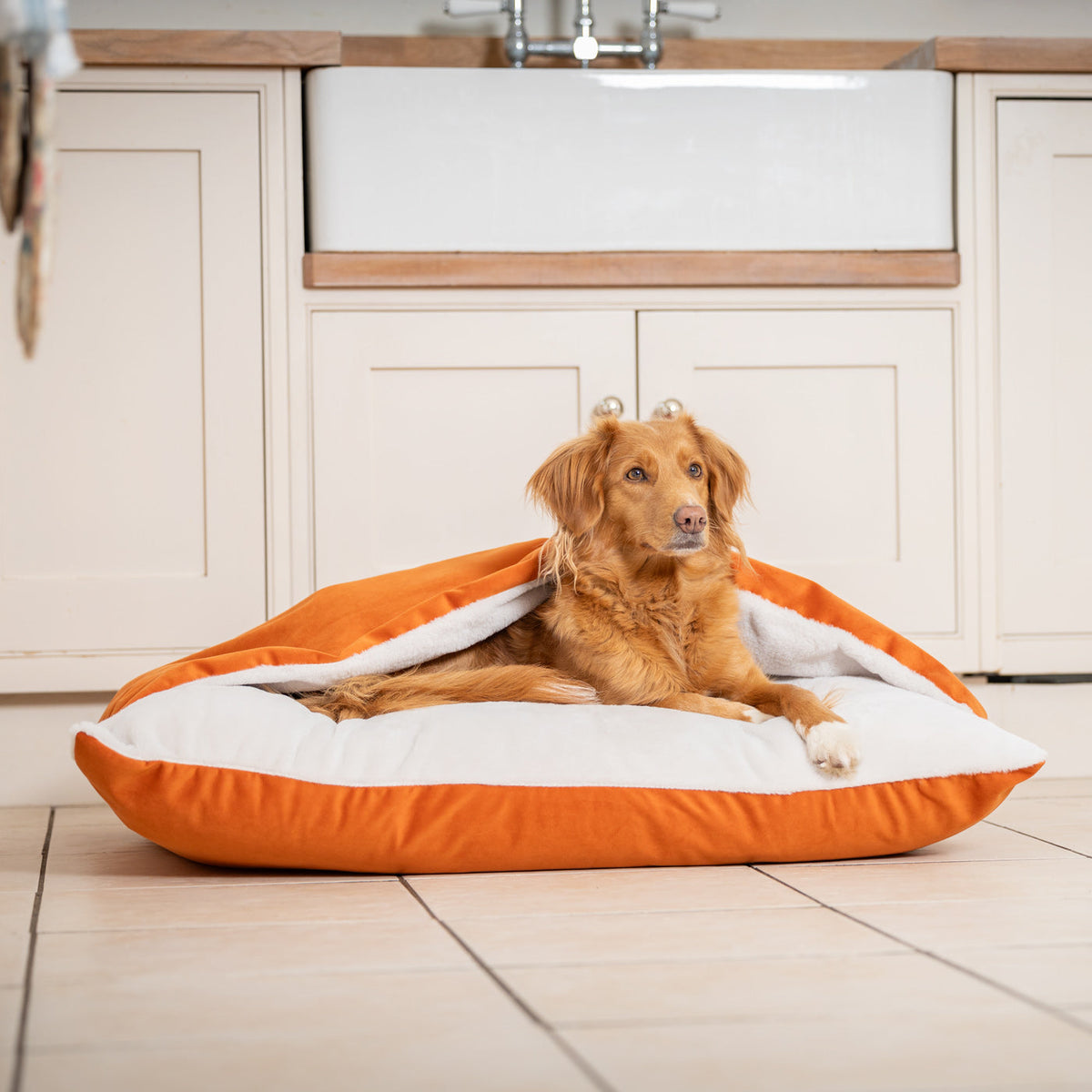Sleepy Burrows Bed With Removable Cover In Pumpkin Velvet, view 4