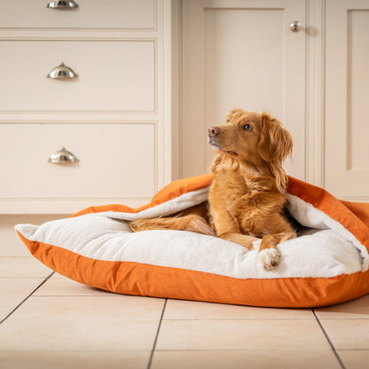 Sleepy Burrows Bed With Removable Cover In Pumpkin Velvet, view 5