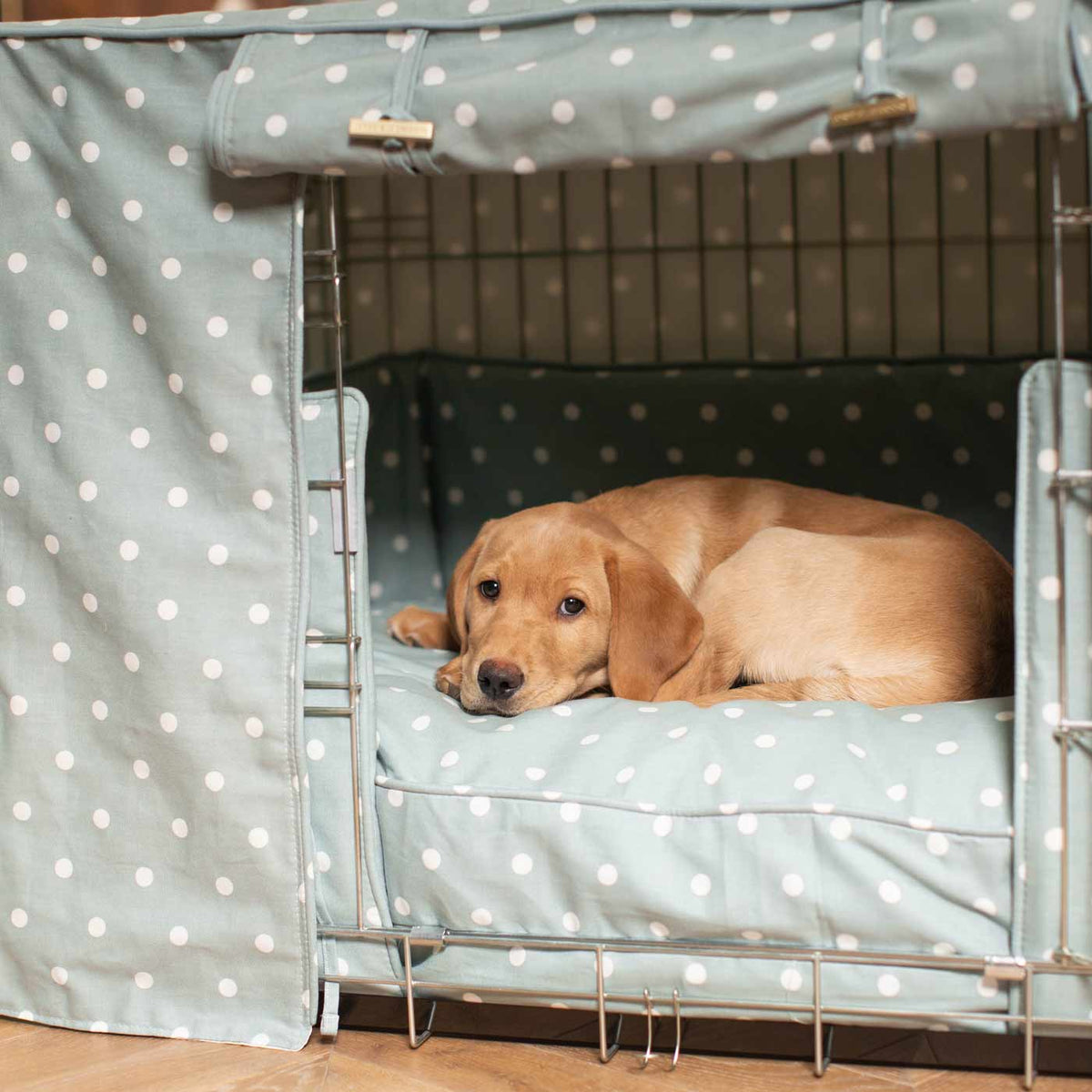 Dog Crate Set in Duck Egg Spot, view 12
