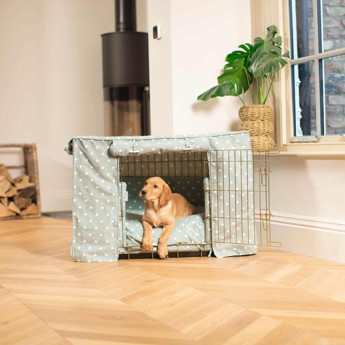 Dog Crate Set in Duck Egg Spot, view 8